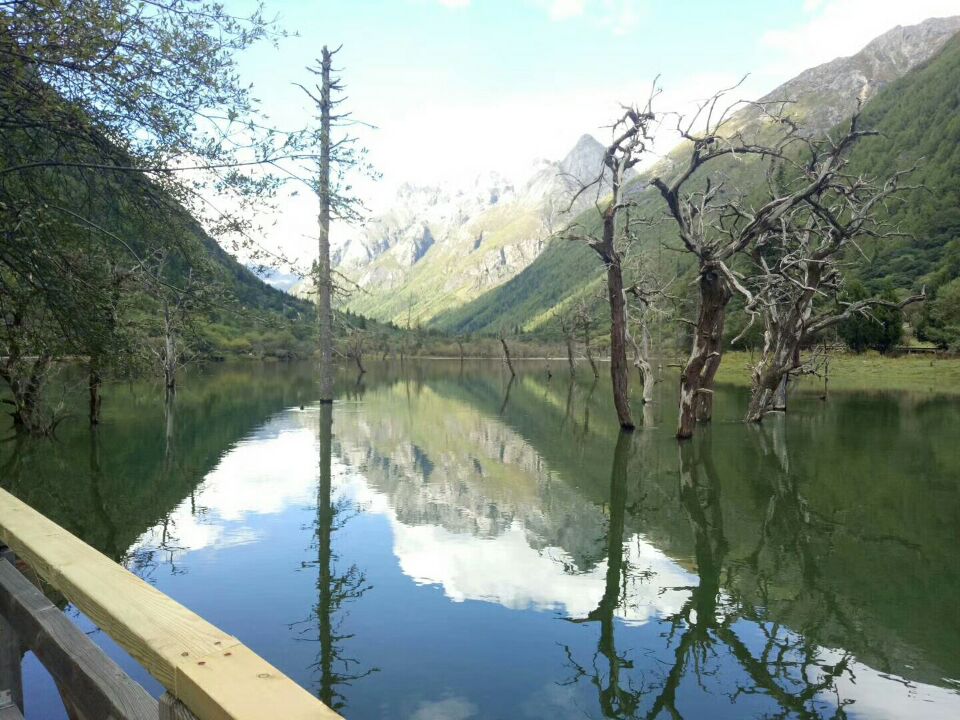 四川道路標線涂料